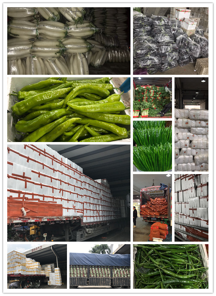 必发7790(中国区)电子集团-线上平台登录入口