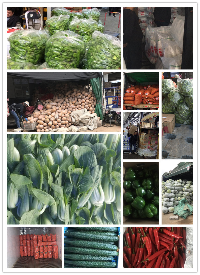 必发7790(中国区)电子集团-线上平台登录入口