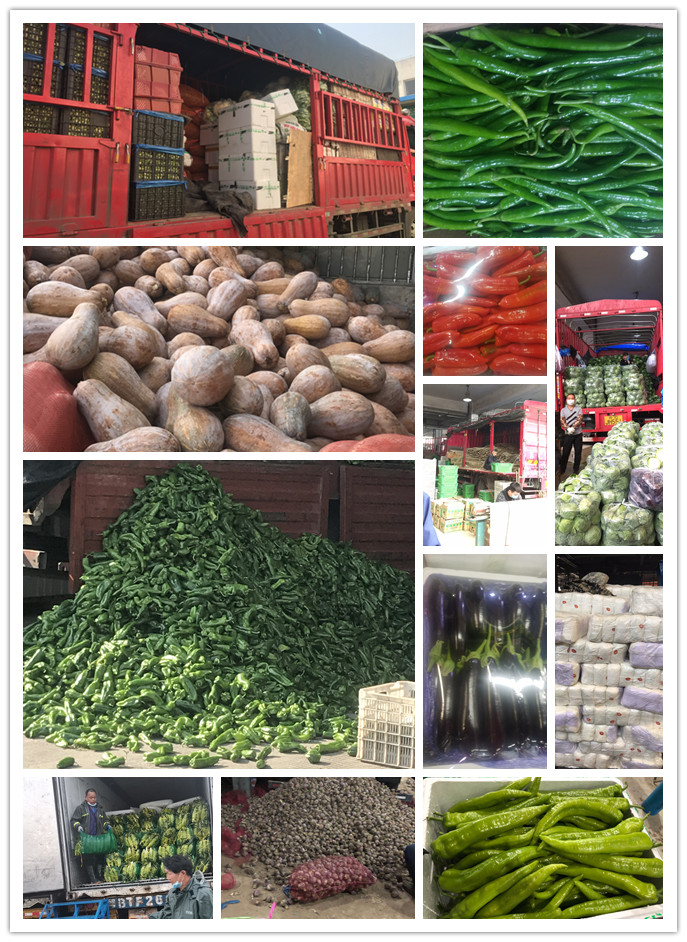 必发7790(中国区)电子集团-线上平台登录入口