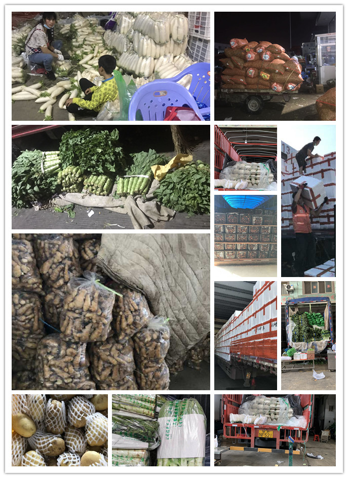 必发7790(中国区)电子集团-线上平台登录入口