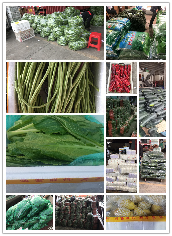 必发7790(中国区)电子集团-线上平台登录入口