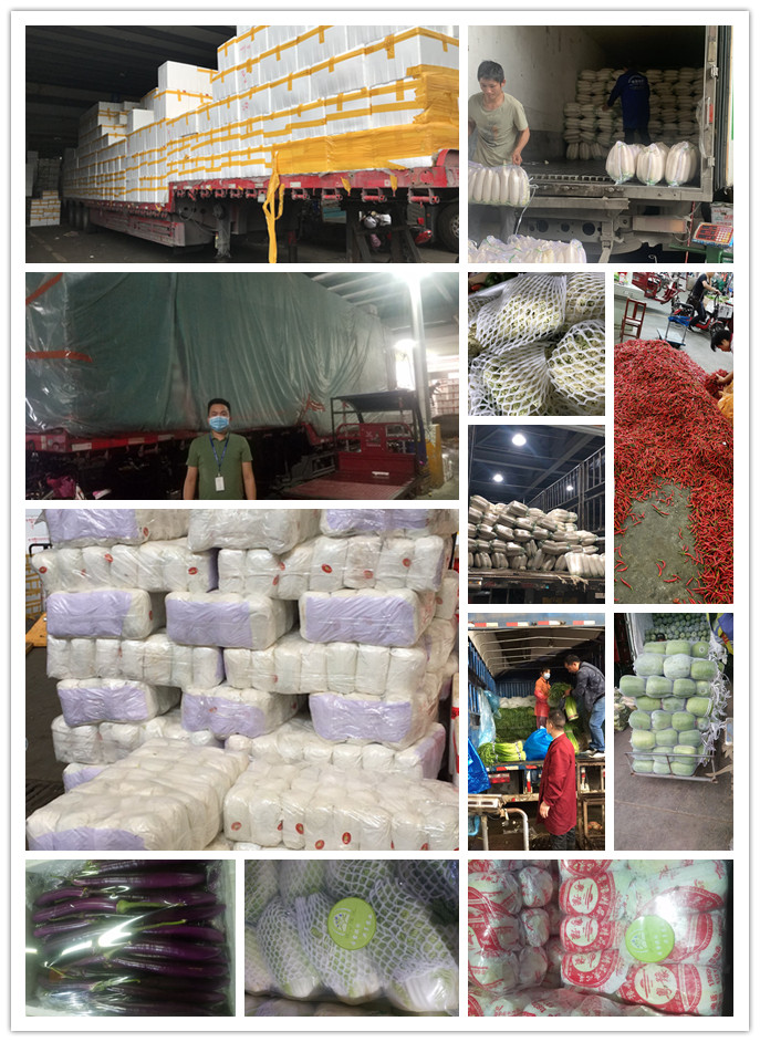 必发7790(中国区)电子集团-线上平台登录入口