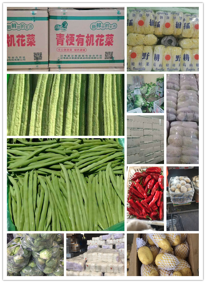 必发7790(中国区)电子集团-线上平台登录入口