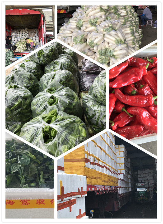 必发7790(中国区)电子集团-线上平台登录入口