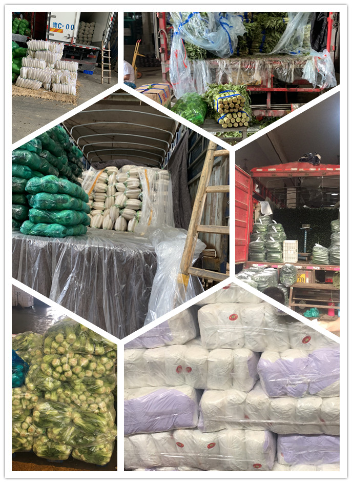 必发7790(中国区)电子集团-线上平台登录入口