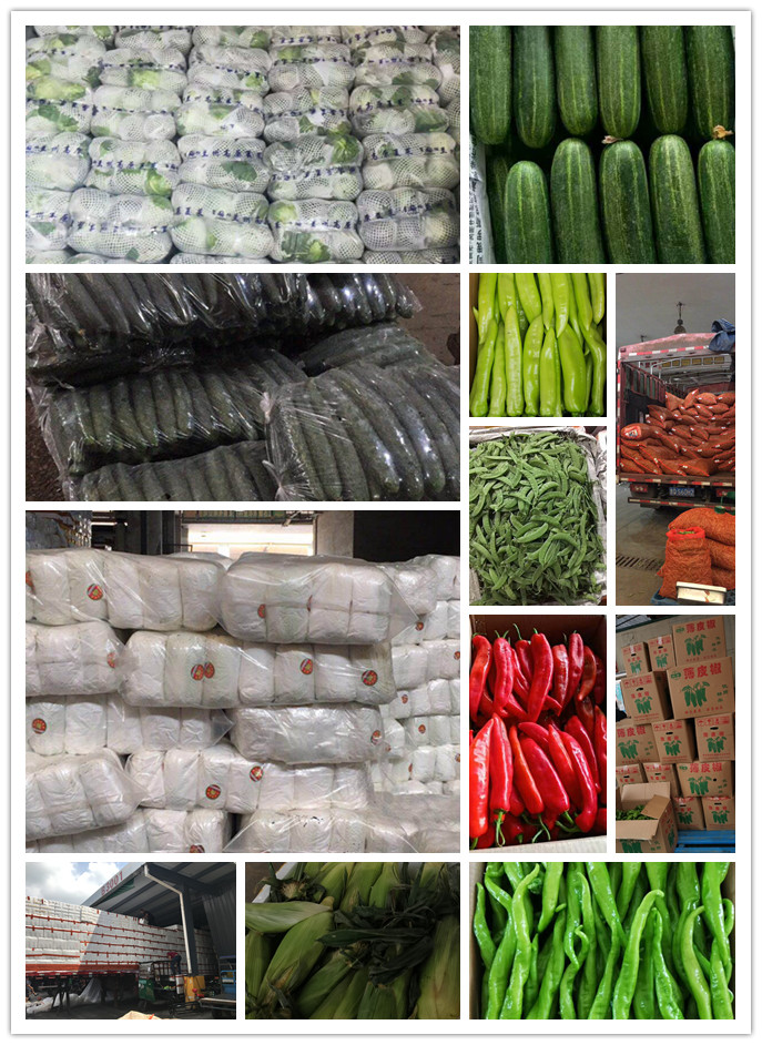 必发7790(中国区)电子集团-线上平台登录入口