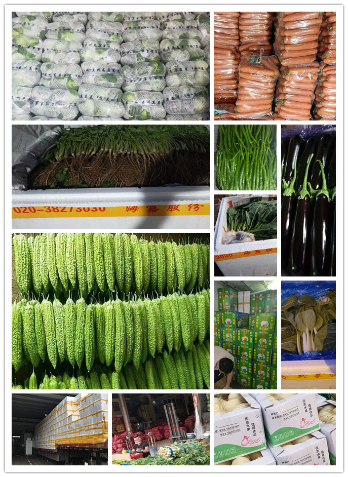 必发7790(中国区)电子集团-线上平台登录入口