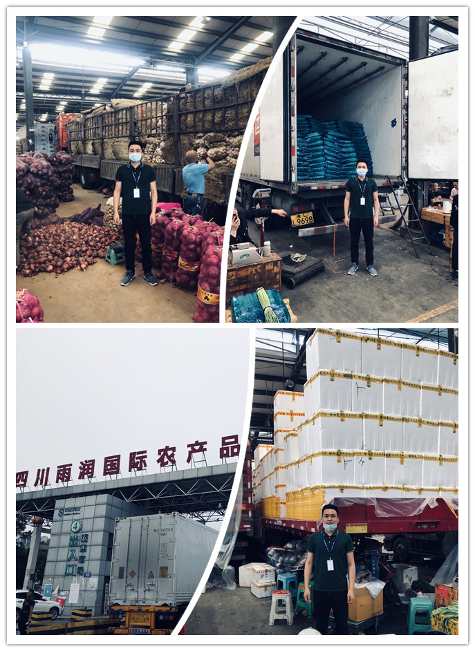 必发7790(中国区)电子集团-线上平台登录入口