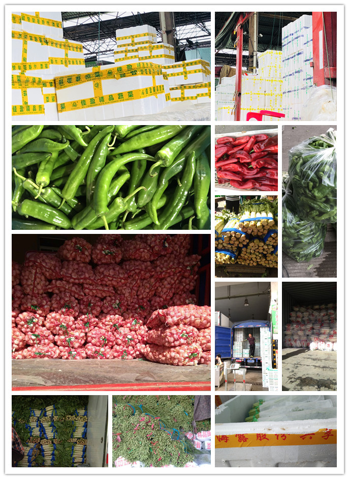 必发7790(中国区)电子集团-线上平台登录入口