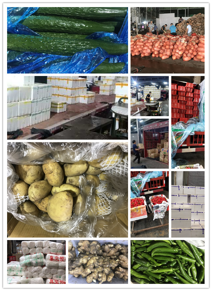 必发7790(中国区)电子集团-线上平台登录入口