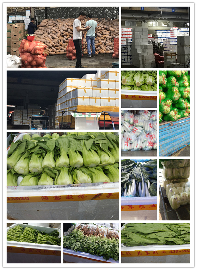 必发7790(中国区)电子集团-线上平台登录入口