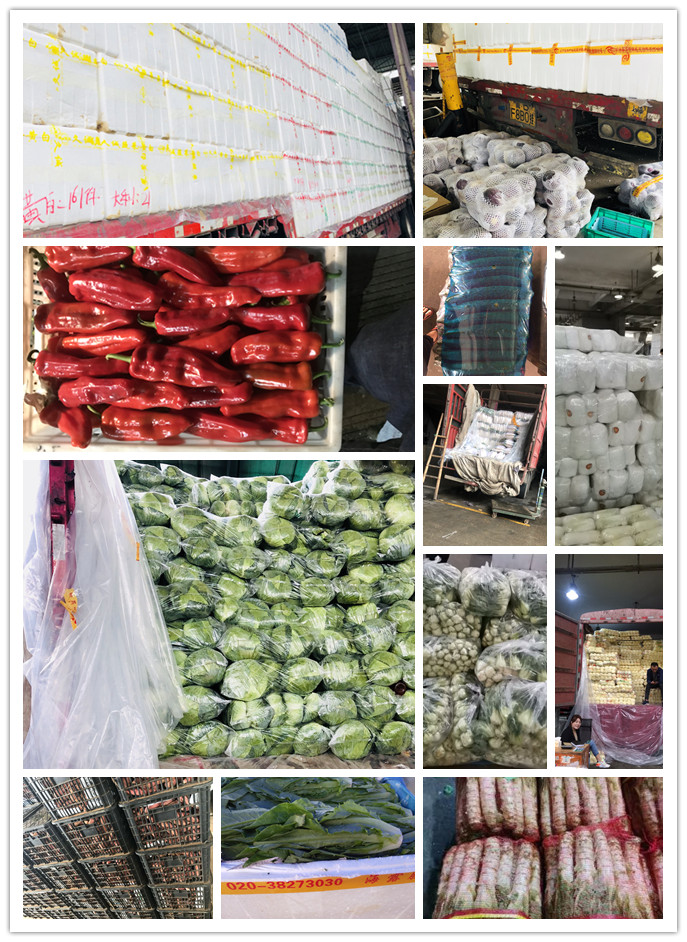 必发7790(中国区)电子集团-线上平台登录入口