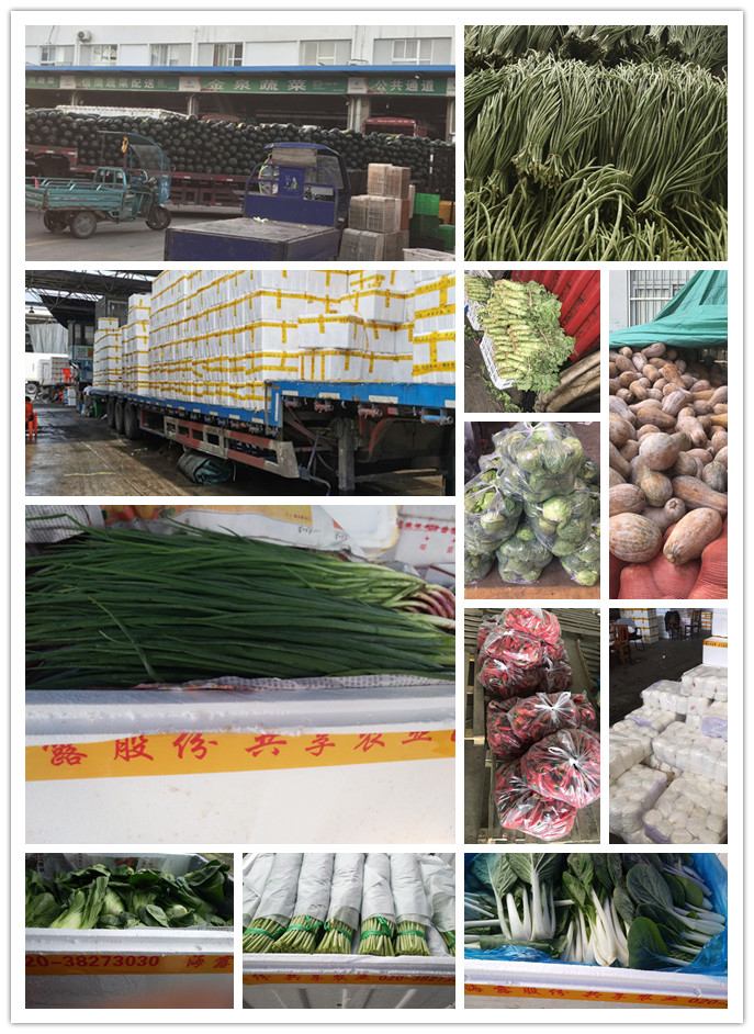 必发7790(中国区)电子集团-线上平台登录入口