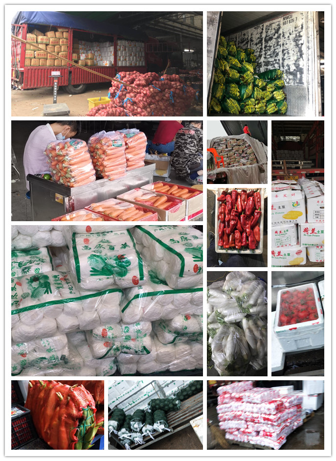 必发7790(中国区)电子集团-线上平台登录入口