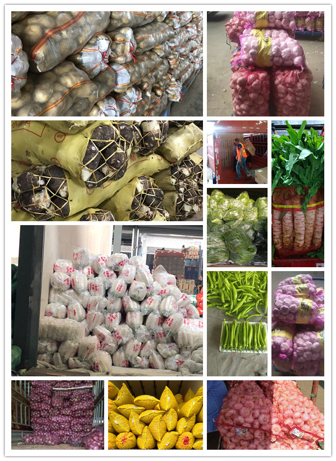 必发7790(中国区)电子集团-线上平台登录入口