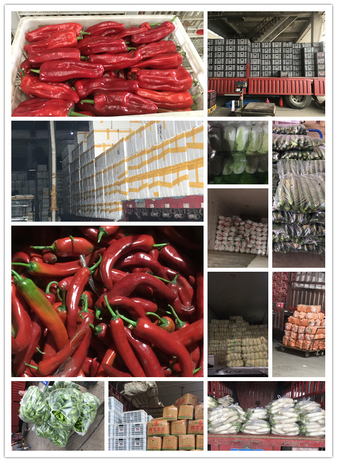 必发7790(中国区)电子集团-线上平台登录入口