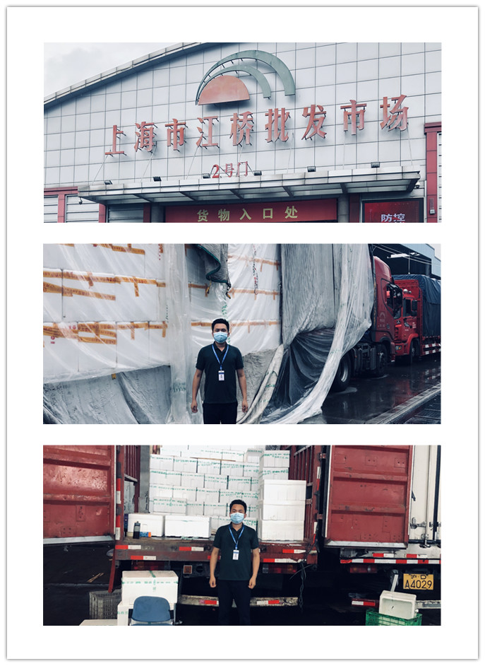 必发7790(中国区)电子集团-线上平台登录入口