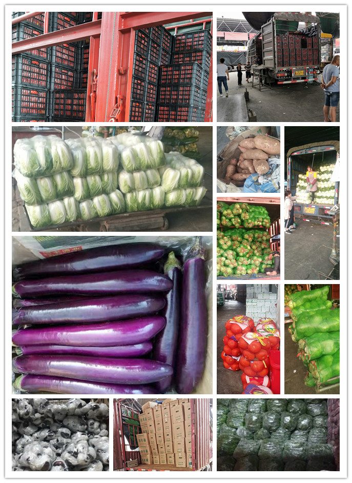 必发7790(中国区)电子集团-线上平台登录入口