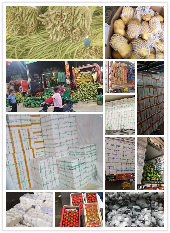 必发7790(中国区)电子集团-线上平台登录入口