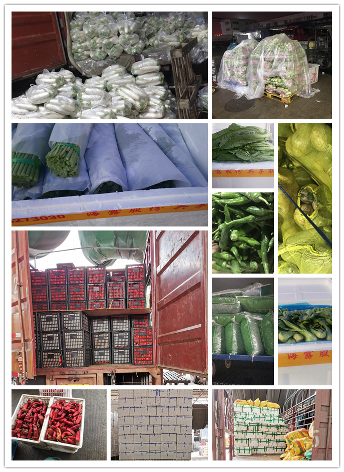 必发7790(中国区)电子集团-线上平台登录入口