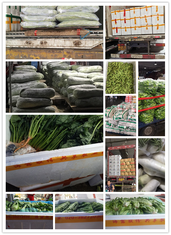 必发7790(中国区)电子集团-线上平台登录入口