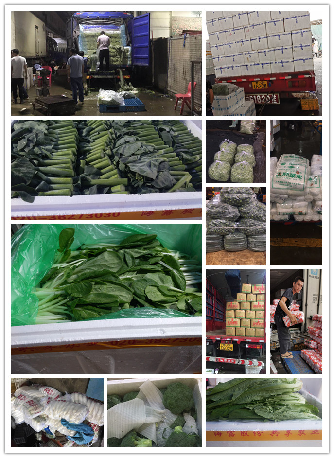 必发7790(中国区)电子集团-线上平台登录入口