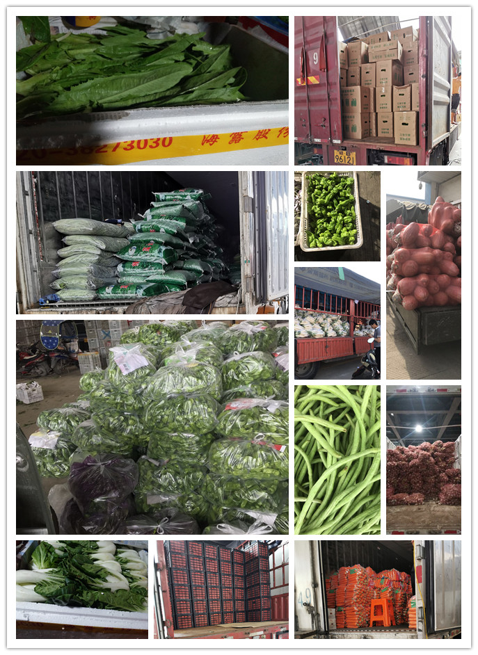 必发7790(中国区)电子集团-线上平台登录入口