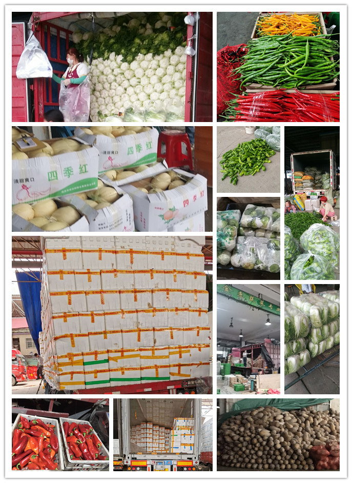 必发7790(中国区)电子集团-线上平台登录入口