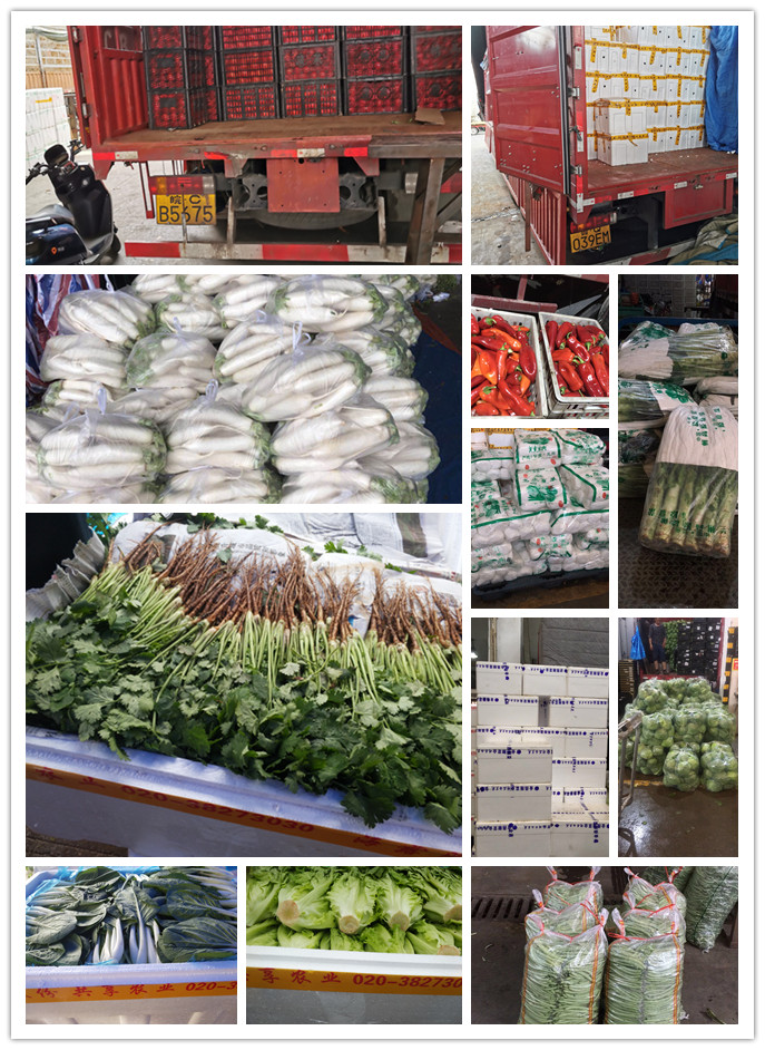 必发7790(中国区)电子集团-线上平台登录入口