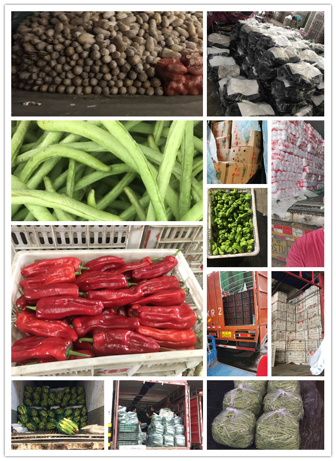 必发7790(中国区)电子集团-线上平台登录入口