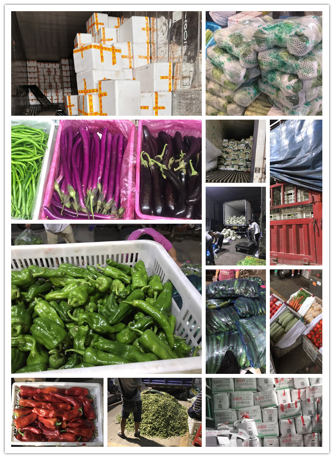 必发7790(中国区)电子集团-线上平台登录入口