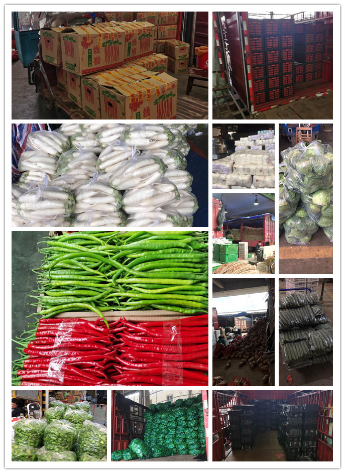 必发7790(中国区)电子集团-线上平台登录入口