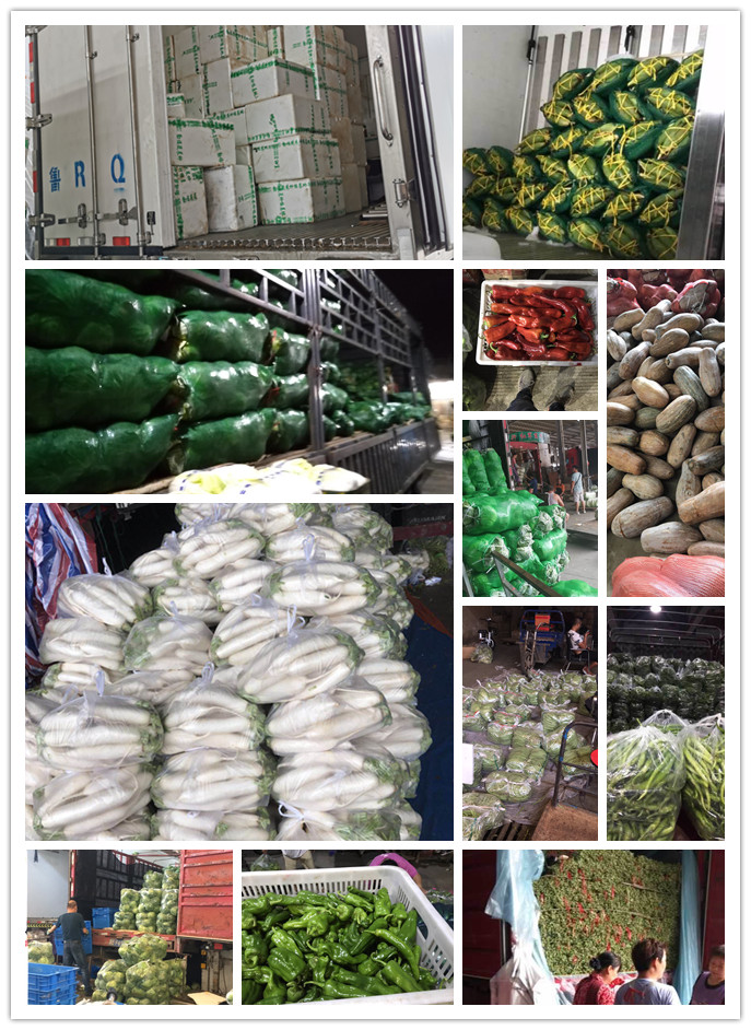 必发7790(中国区)电子集团-线上平台登录入口