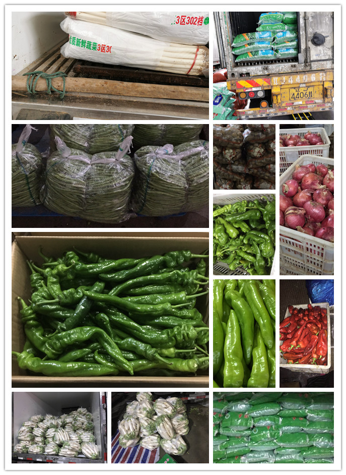 必发7790(中国区)电子集团-线上平台登录入口