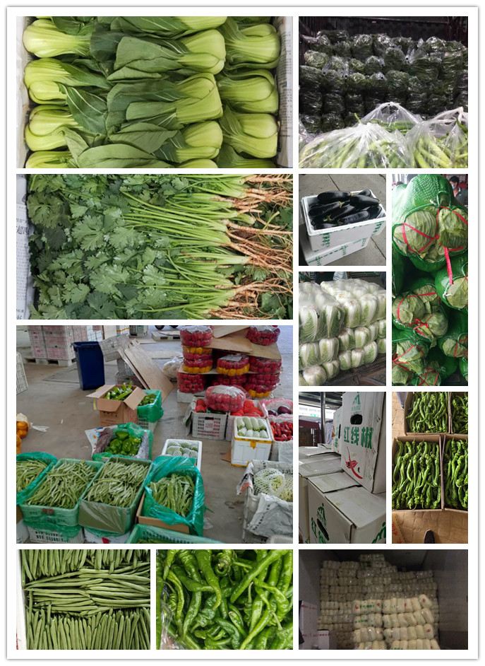 必发7790(中国区)电子集团-线上平台登录入口