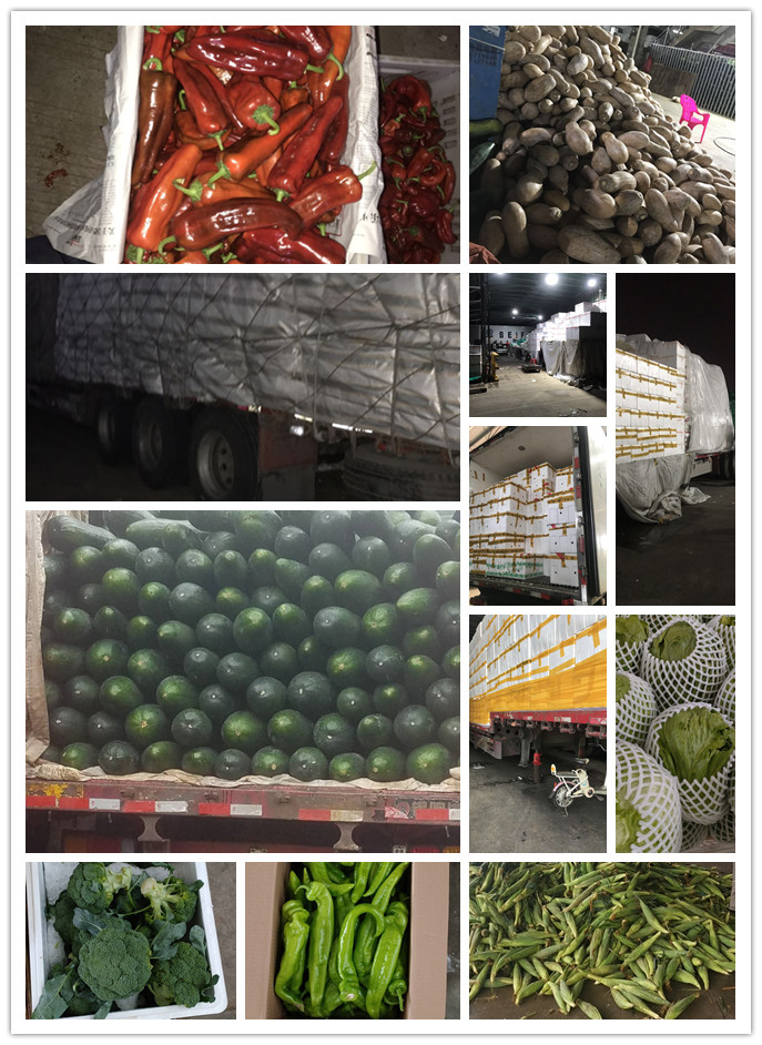 必发7790(中国区)电子集团-线上平台登录入口