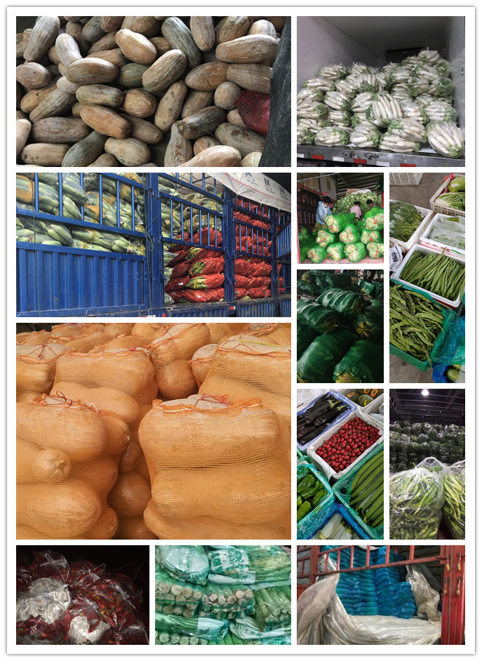 必发7790(中国区)电子集团-线上平台登录入口