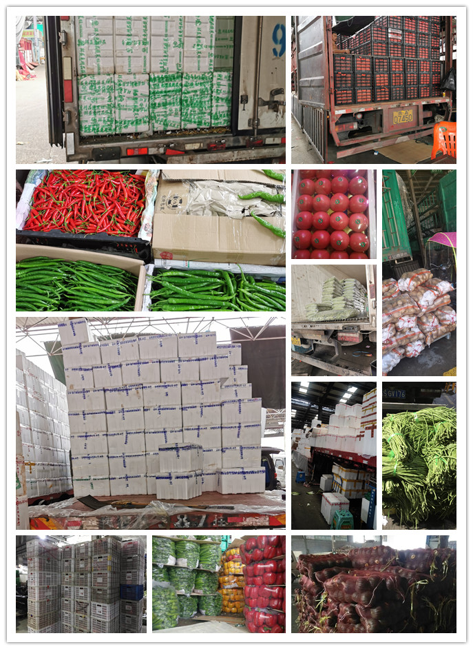 必发7790(中国区)电子集团-线上平台登录入口