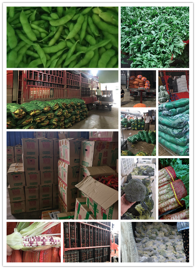 必发7790(中国区)电子集团-线上平台登录入口