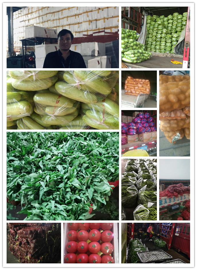 必发7790(中国区)电子集团-线上平台登录入口