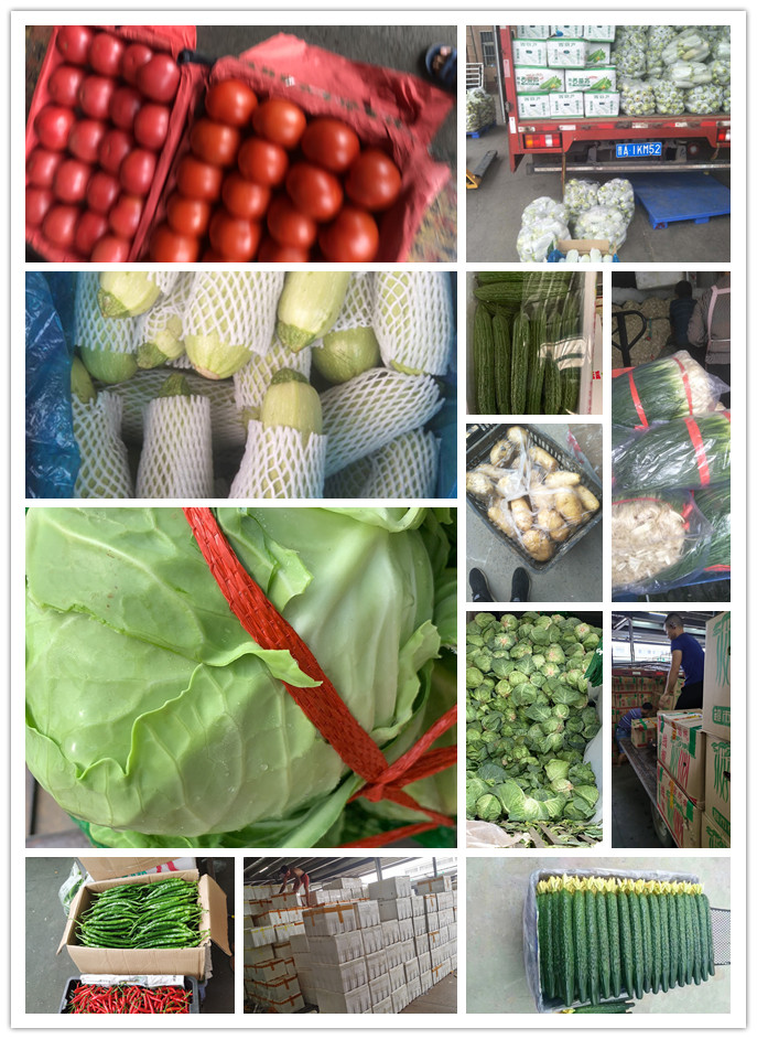 必发7790(中国区)电子集团-线上平台登录入口