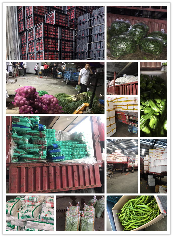 必发7790(中国区)电子集团-线上平台登录入口