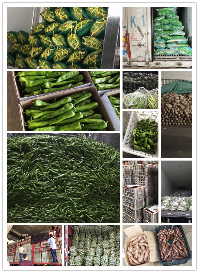 必发7790(中国区)电子集团-线上平台登录入口