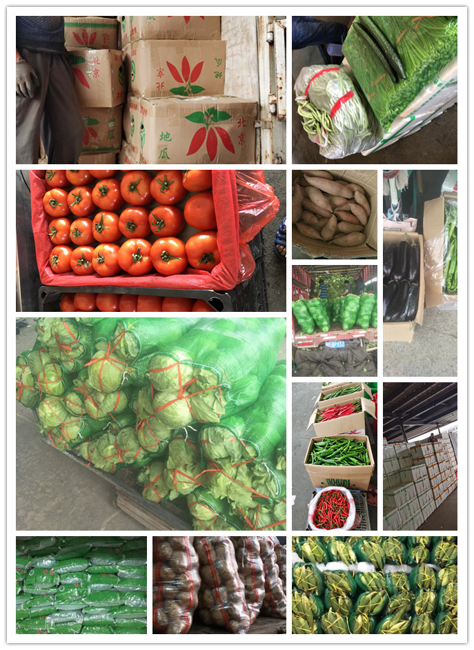 必发7790(中国区)电子集团-线上平台登录入口