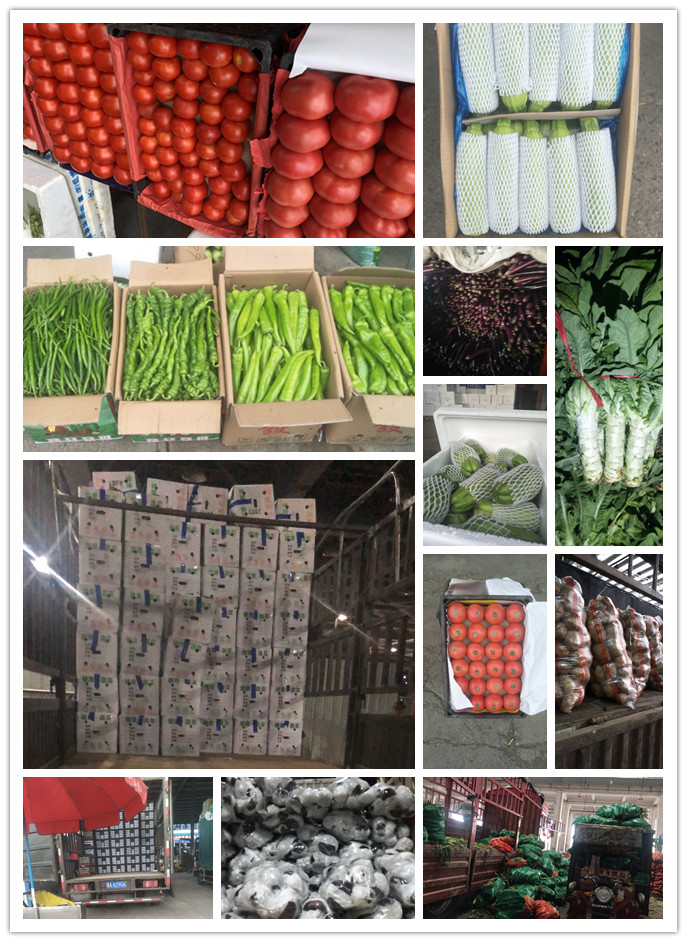 必发7790(中国区)电子集团-线上平台登录入口