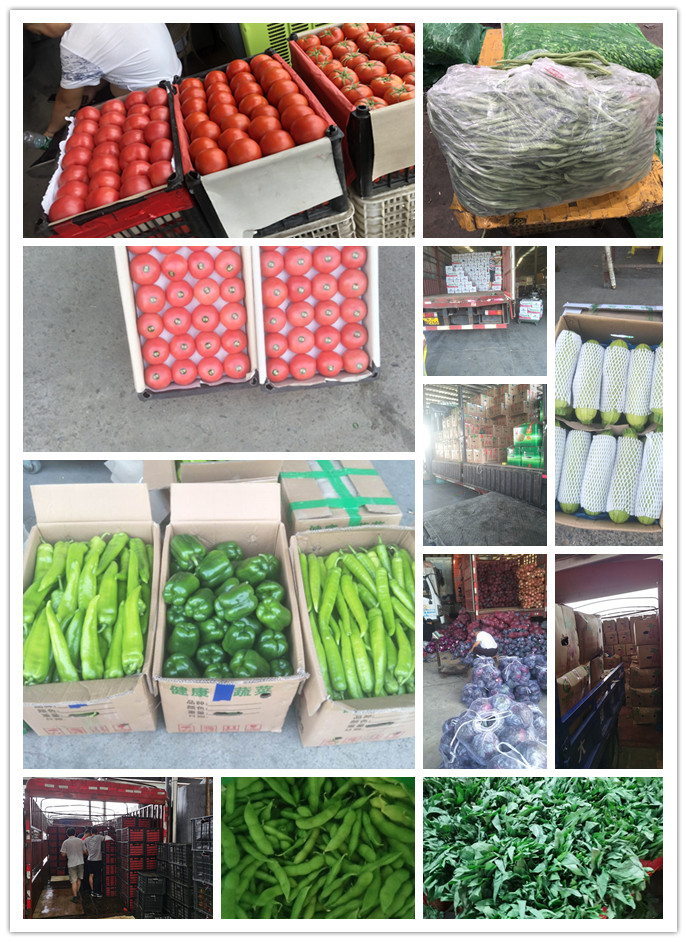 必发7790(中国区)电子集团-线上平台登录入口