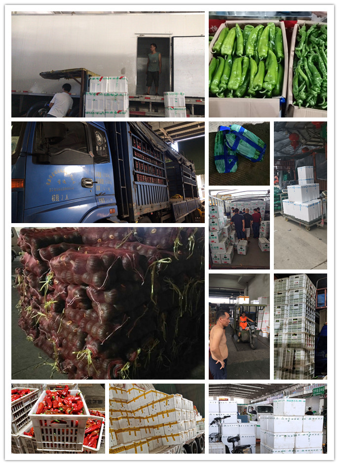 必发7790(中国区)电子集团-线上平台登录入口