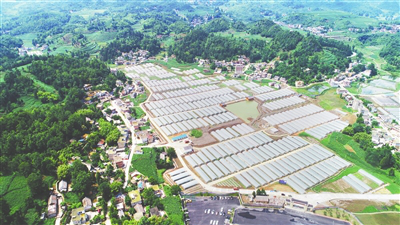 必发7790(中国区)电子集团-线上平台登录入口