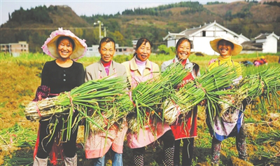 必发7790(中国区)电子集团-线上平台登录入口