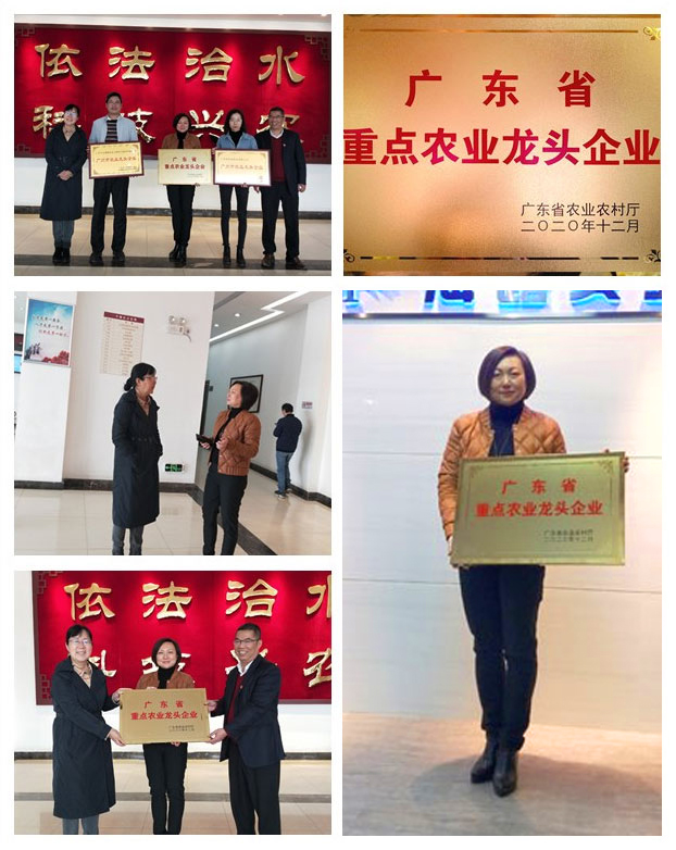 必发7790(中国区)电子集团-线上平台登录入口